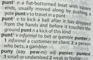 Urban Dictionary: punter.